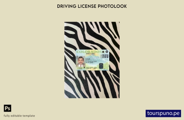 listo para imprimir plantilla FRONTAL de foto de versión de licencia de conduc 1